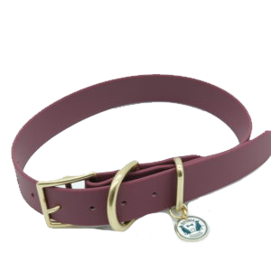 Kinds of Canine Chokers And Their Employments