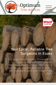 How do I choose a tree surgeon in Essex?